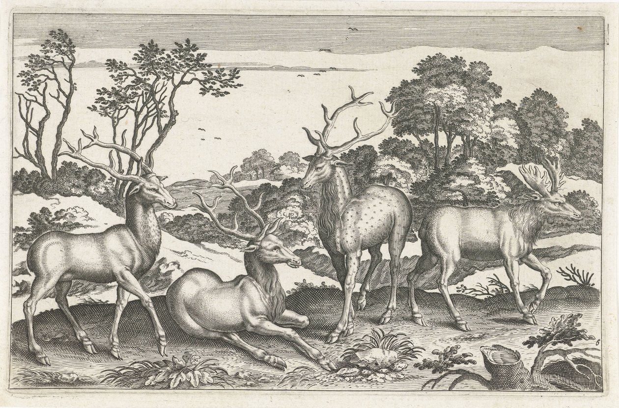 hjort Firebenede dyr (serietitel) Animalivm Qvaddrvpedvm (serietitel) af Anonymous