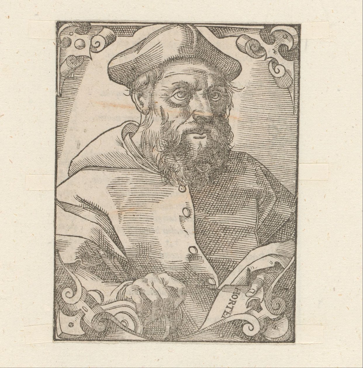 Portret af Jacopo Sadoleto af Anonymous