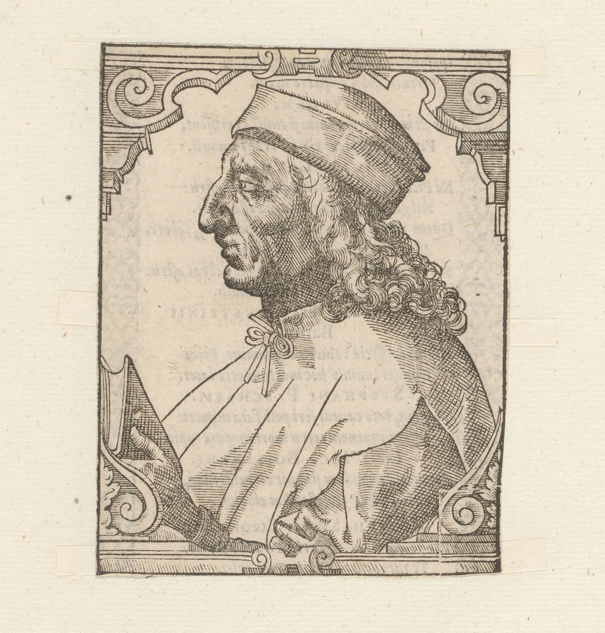 Portret af Julius Pomponius Laetus af Anonymous