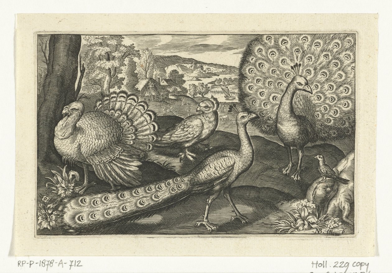 Fem fugle inklusive skestork Fugle og insekter (serietitel) af Anonymous