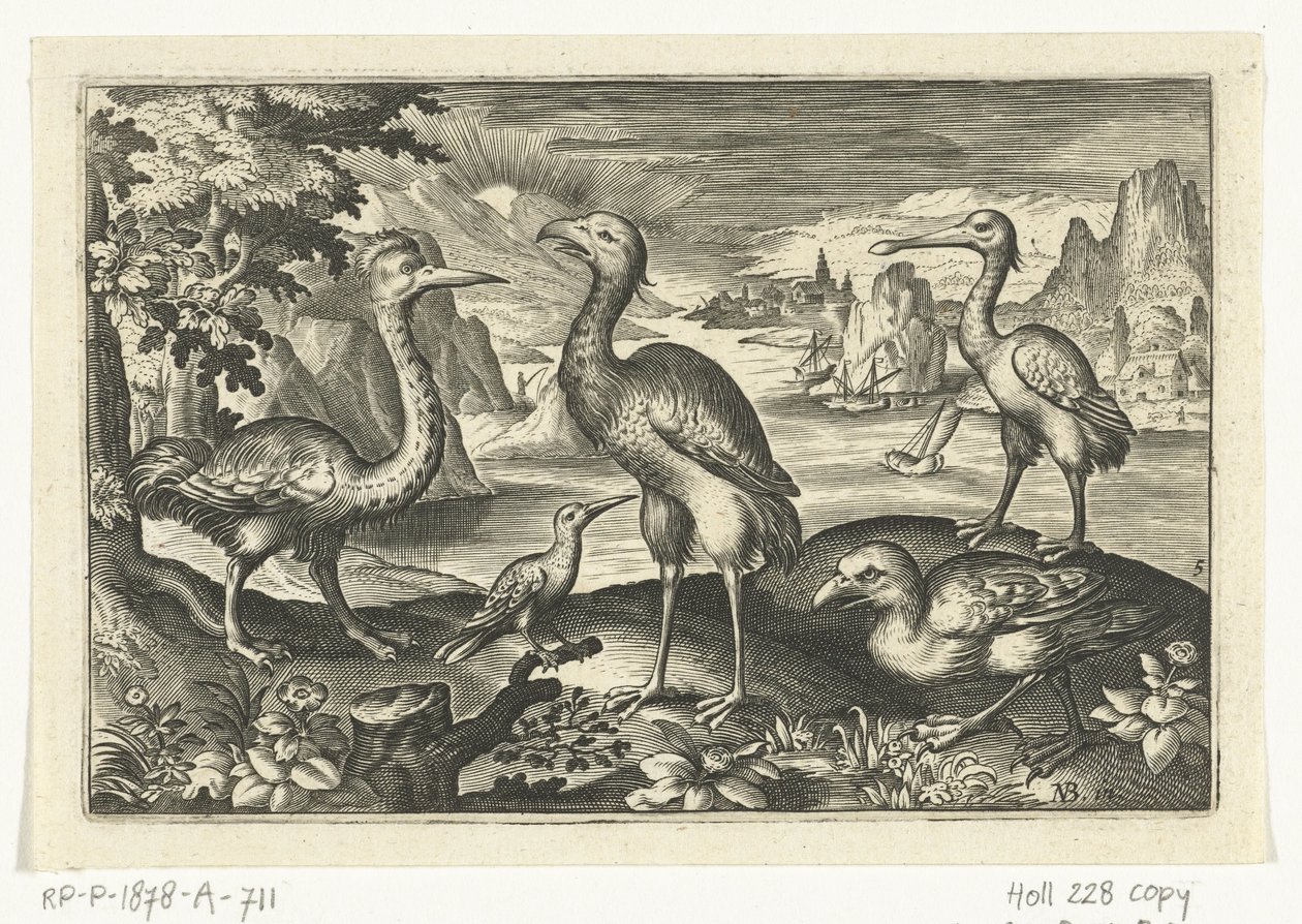 Fem fugle inklusive skestork Fugle og insekter (serietitel) af Anonymous