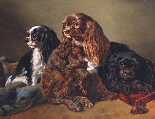 King Charles Spaniels af Anonymous Anonymous