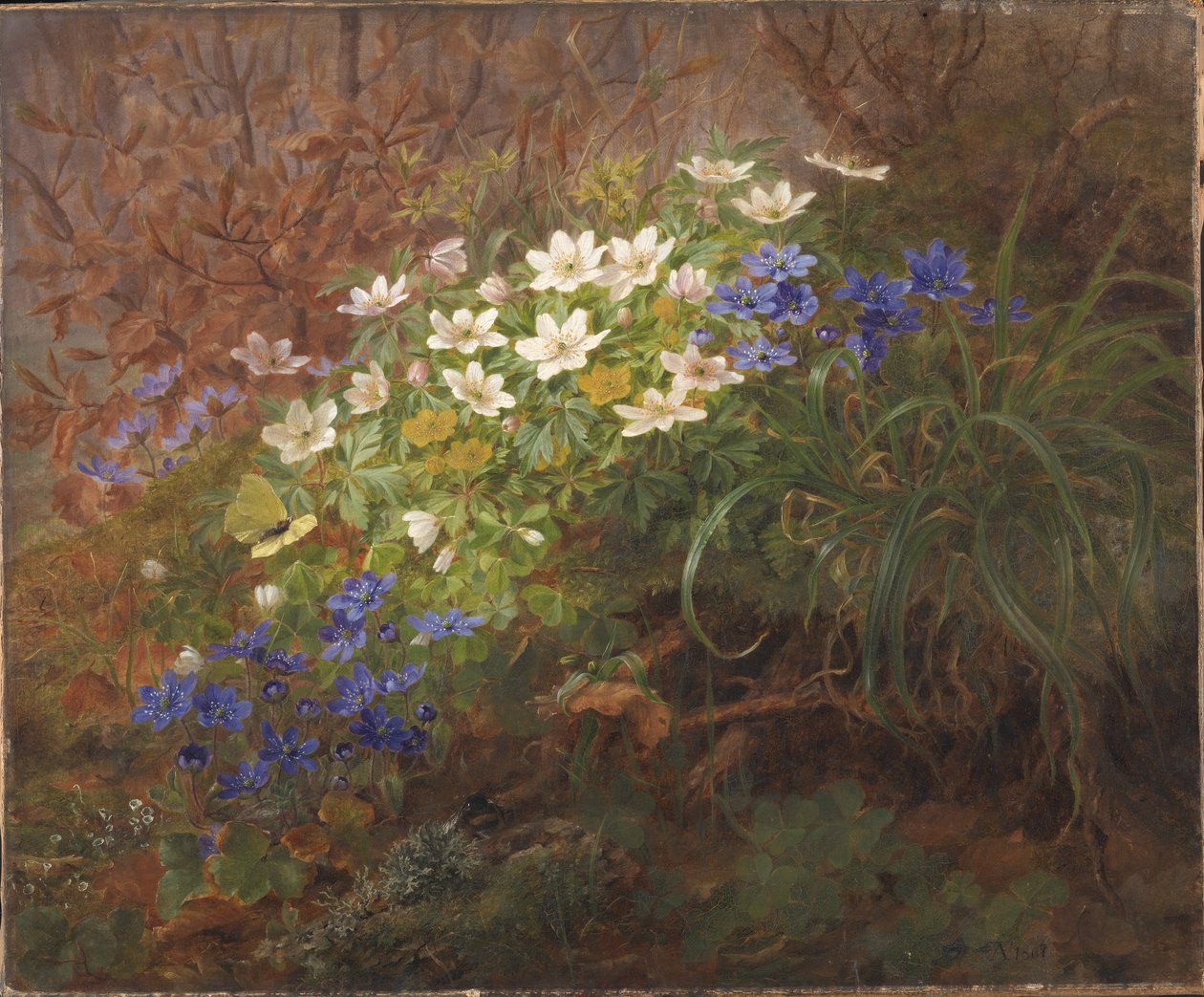Anemoner af Anthonie Christensen