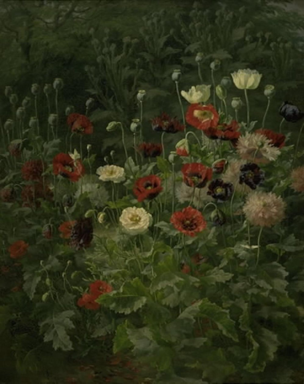 Valmuer af Anthonie Christensen