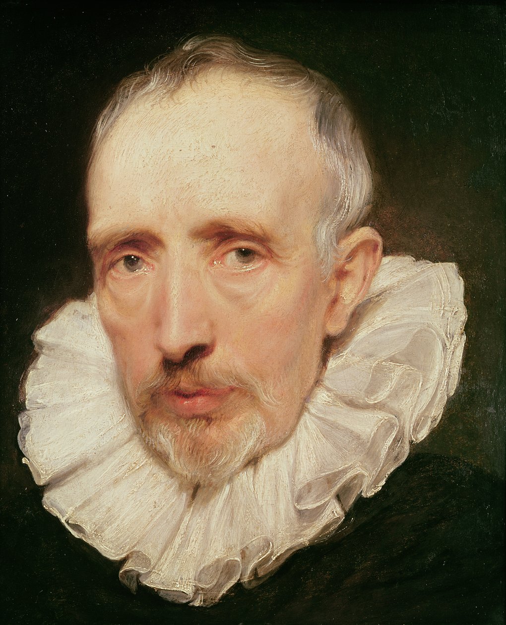 Portræt af Cornelis van der Geest, ca. 1620 (olie på eg) af Anthony van Dyck