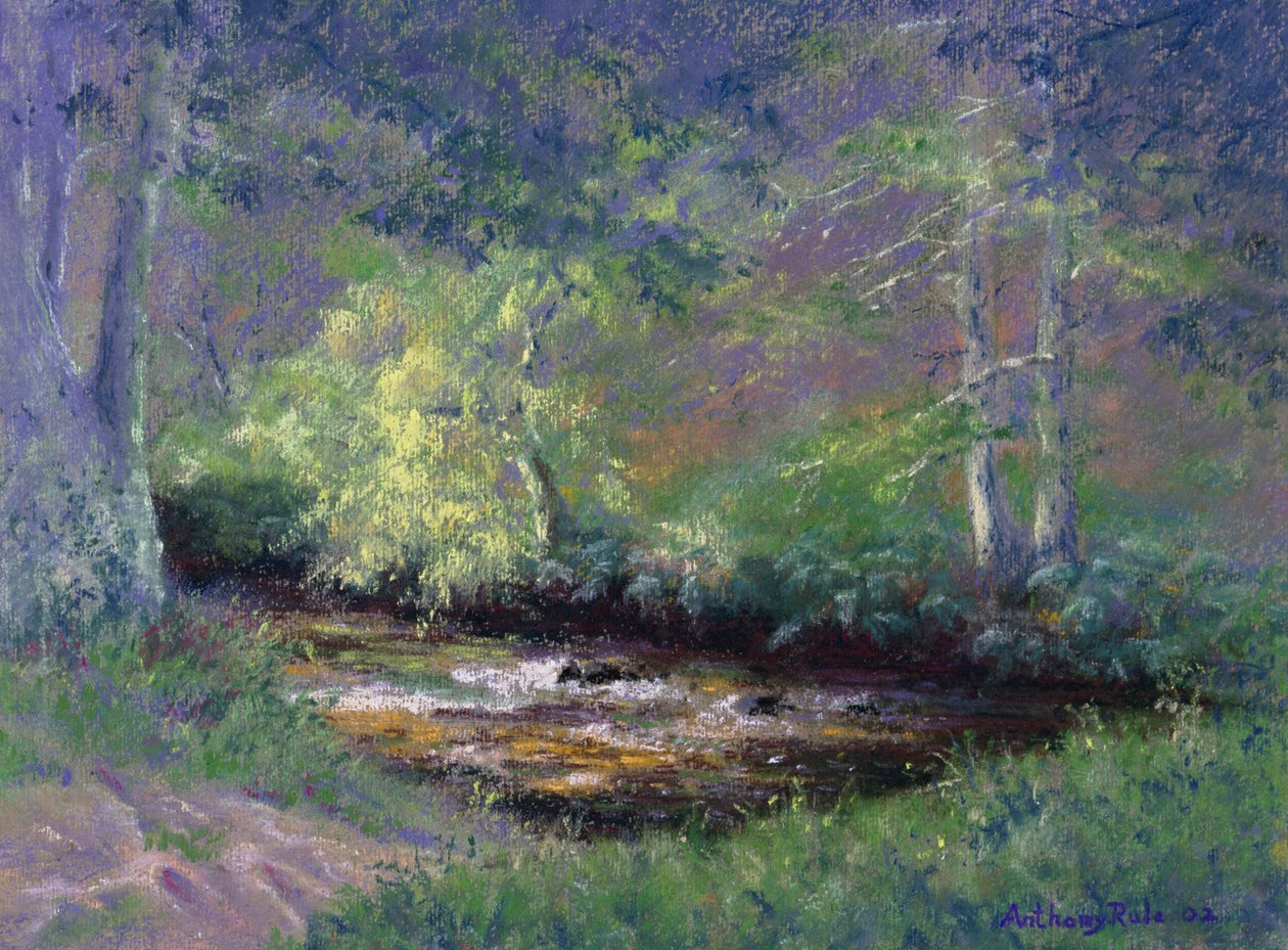 Forest Stream, 2002 af Anthony Rule
