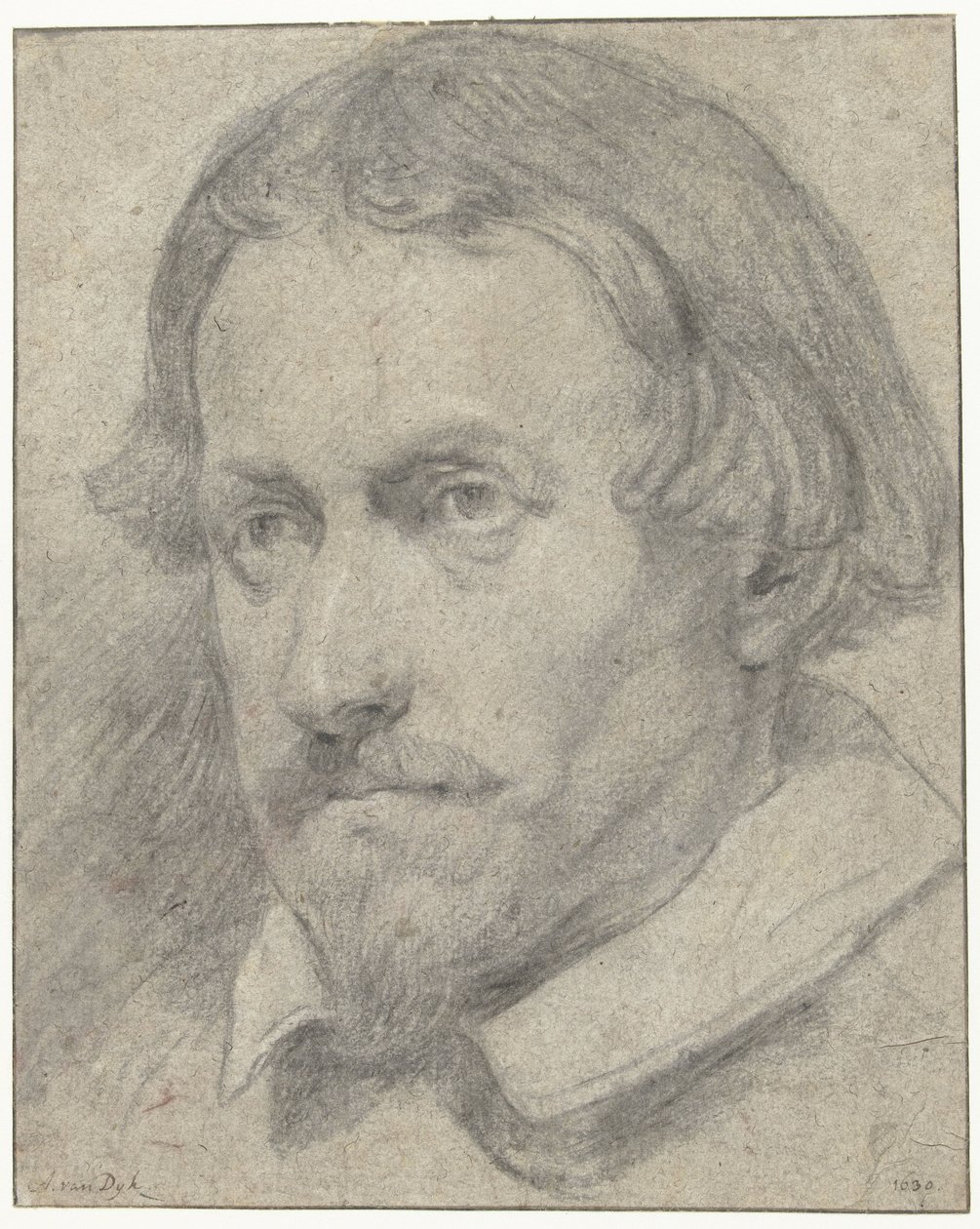 Manskop af Anthony van Dyck (possibly)