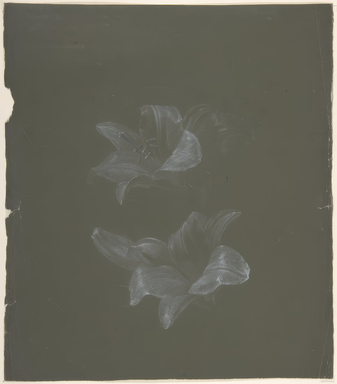 Blomsterdesign af Antoine Berjon