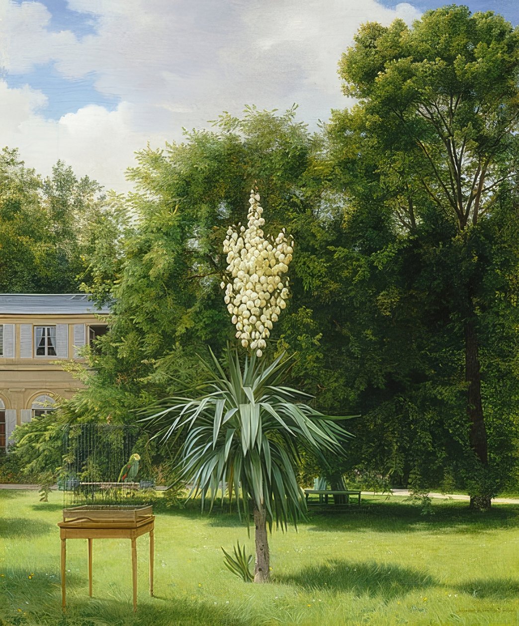 En yucca palme i Neuilly Park. 1845 af Antoine Chazal