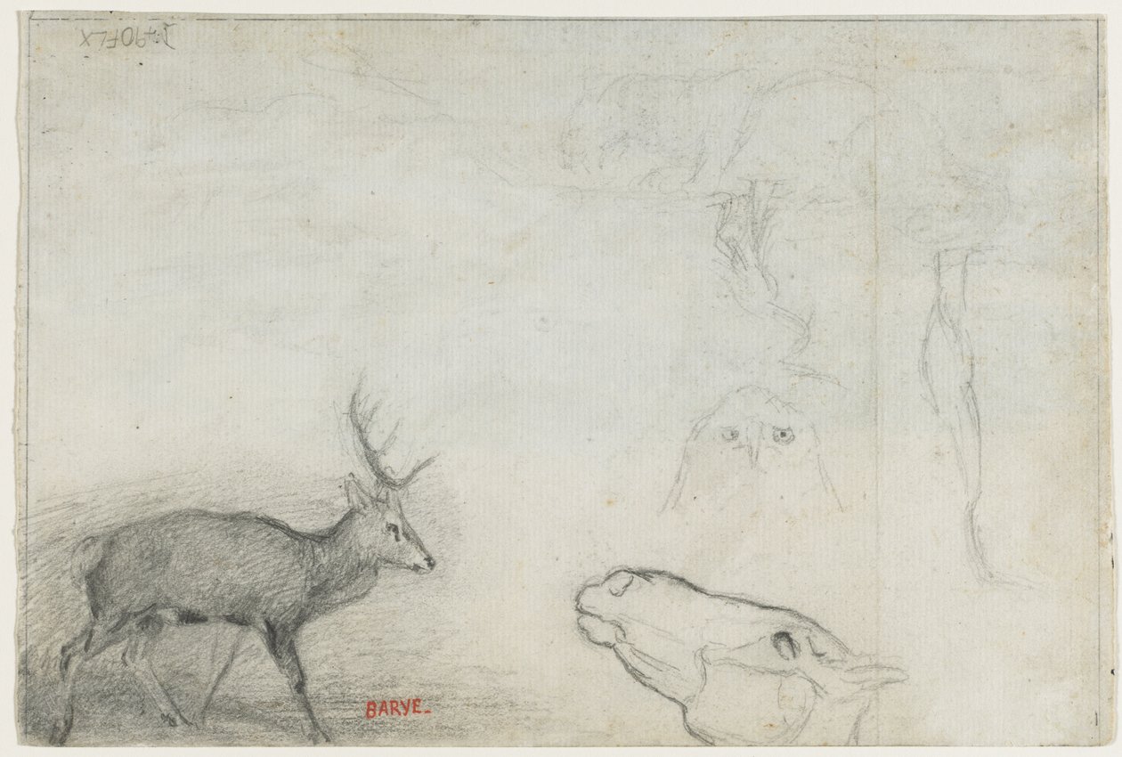 Studier af dyr verso. af Antoine Louis Barye