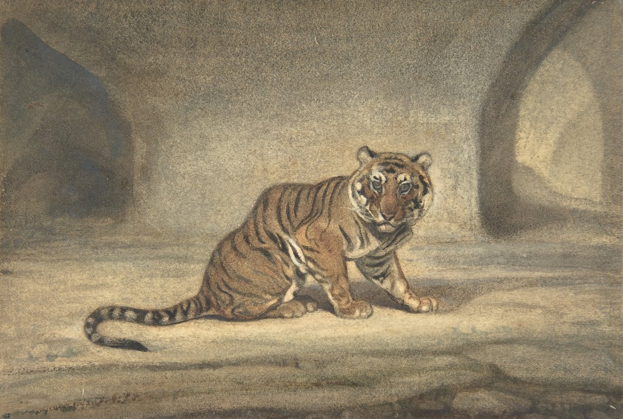Tiger, 1810-75. af Antoine Louis Barye