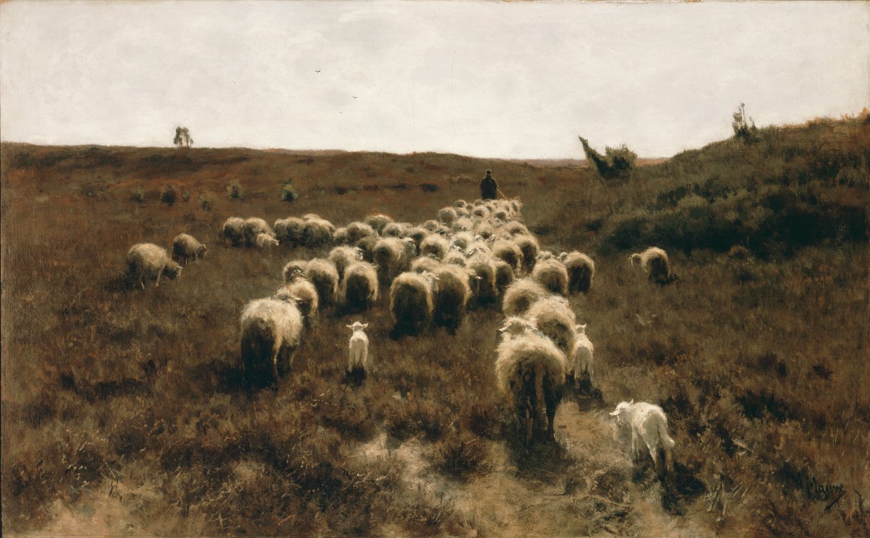 Hjordens tilbagevenden, Laren af Anton Mauve
