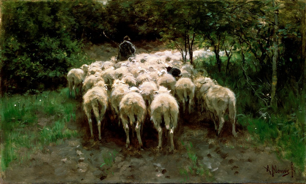 Får i skoven, 1800-tallet. af Anton Mauve