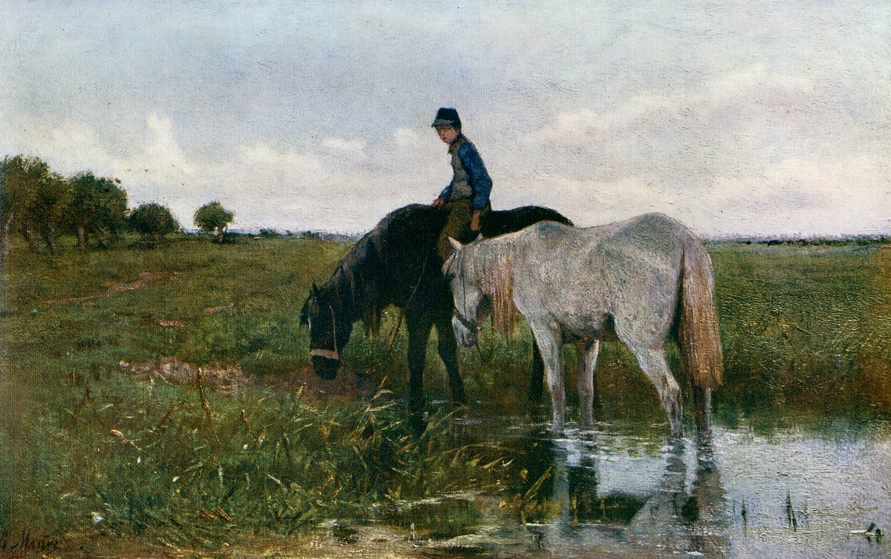 Vandende heste, 1871, 1912. af Anton Mauve