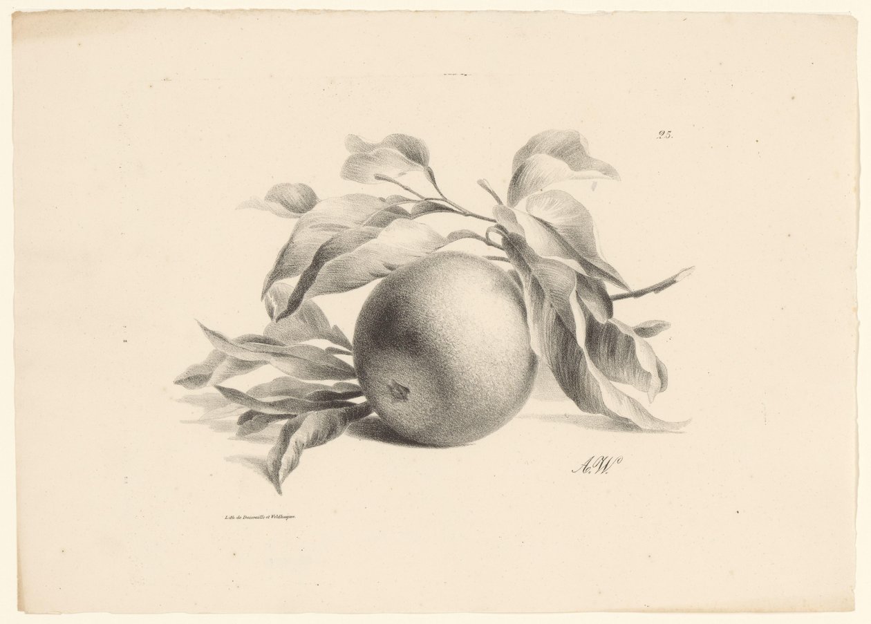 orange Frugter (serietitel) af Anton Weiss