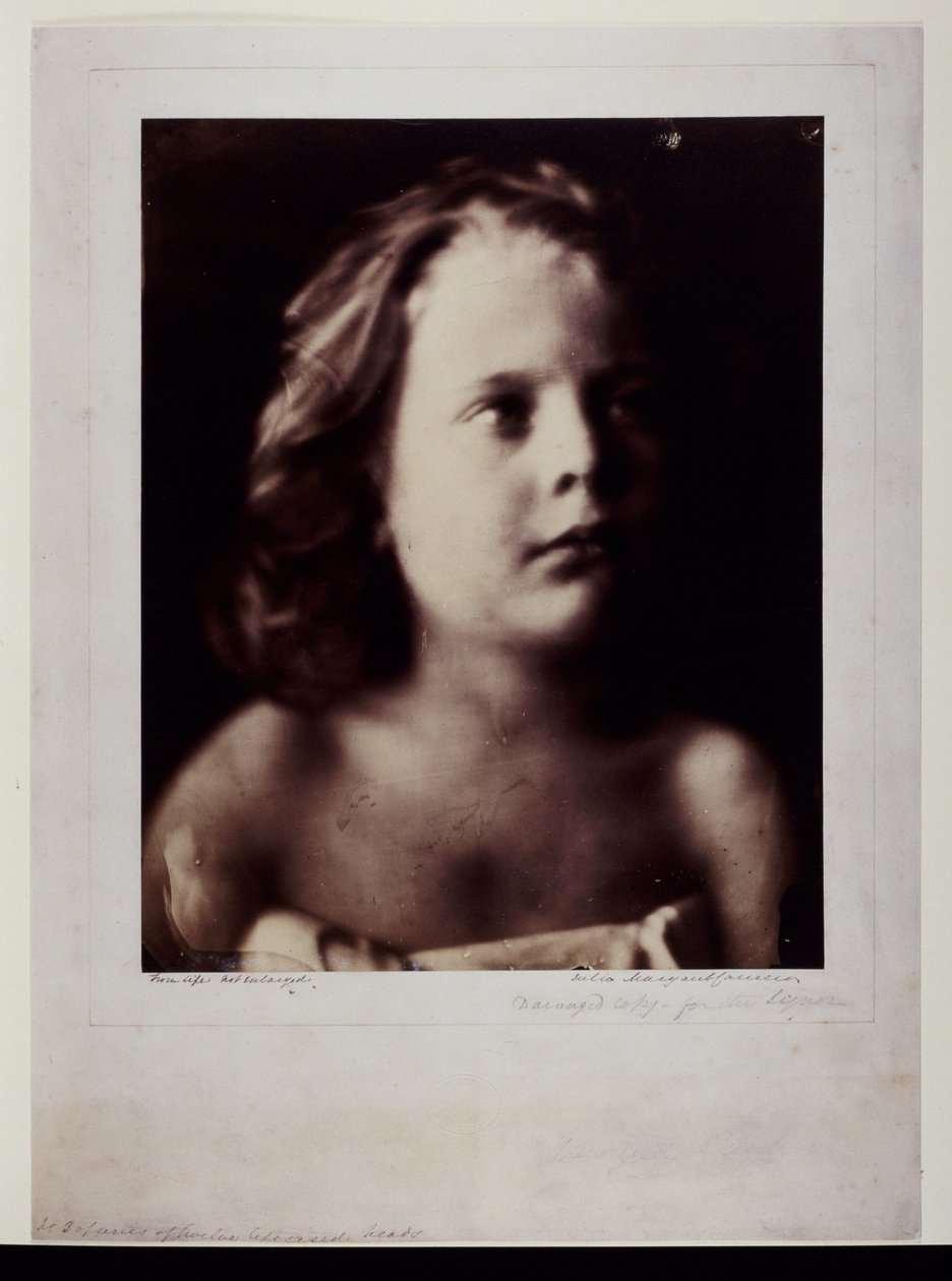 Freddy Gould, c 1866 af Frederick (attr. to) Barnard
