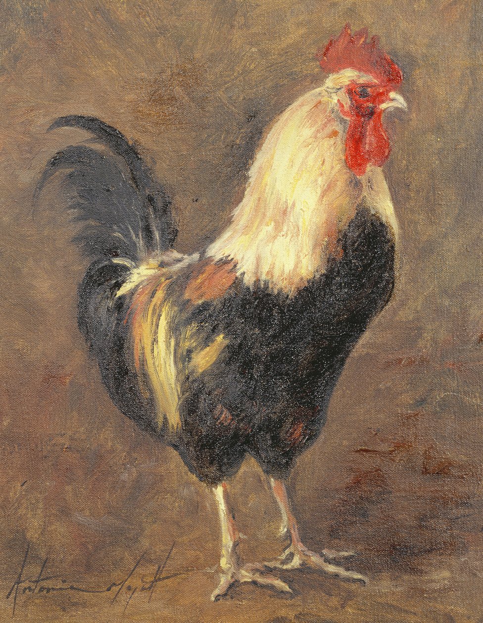 Hanen, 1999 af Antonia Myatt