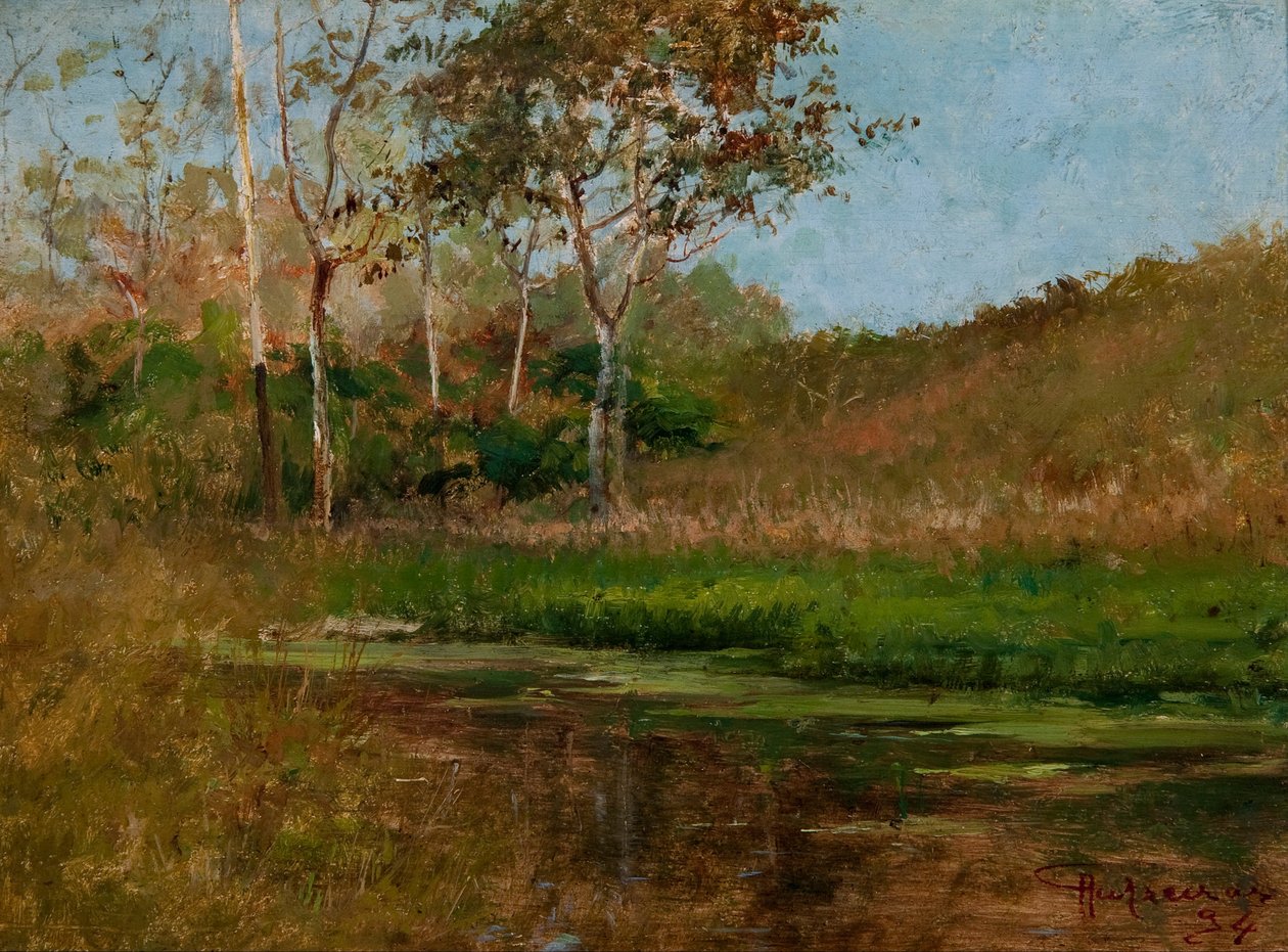 Stillestående vand af Antonio Parreiras