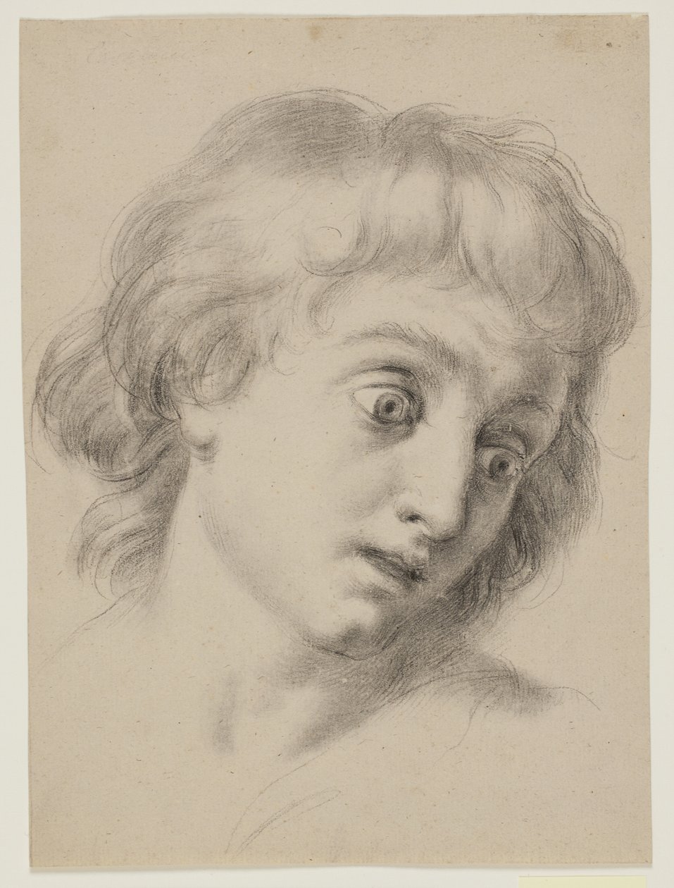 Hovedet af en dreng af Antonio Cavallucci