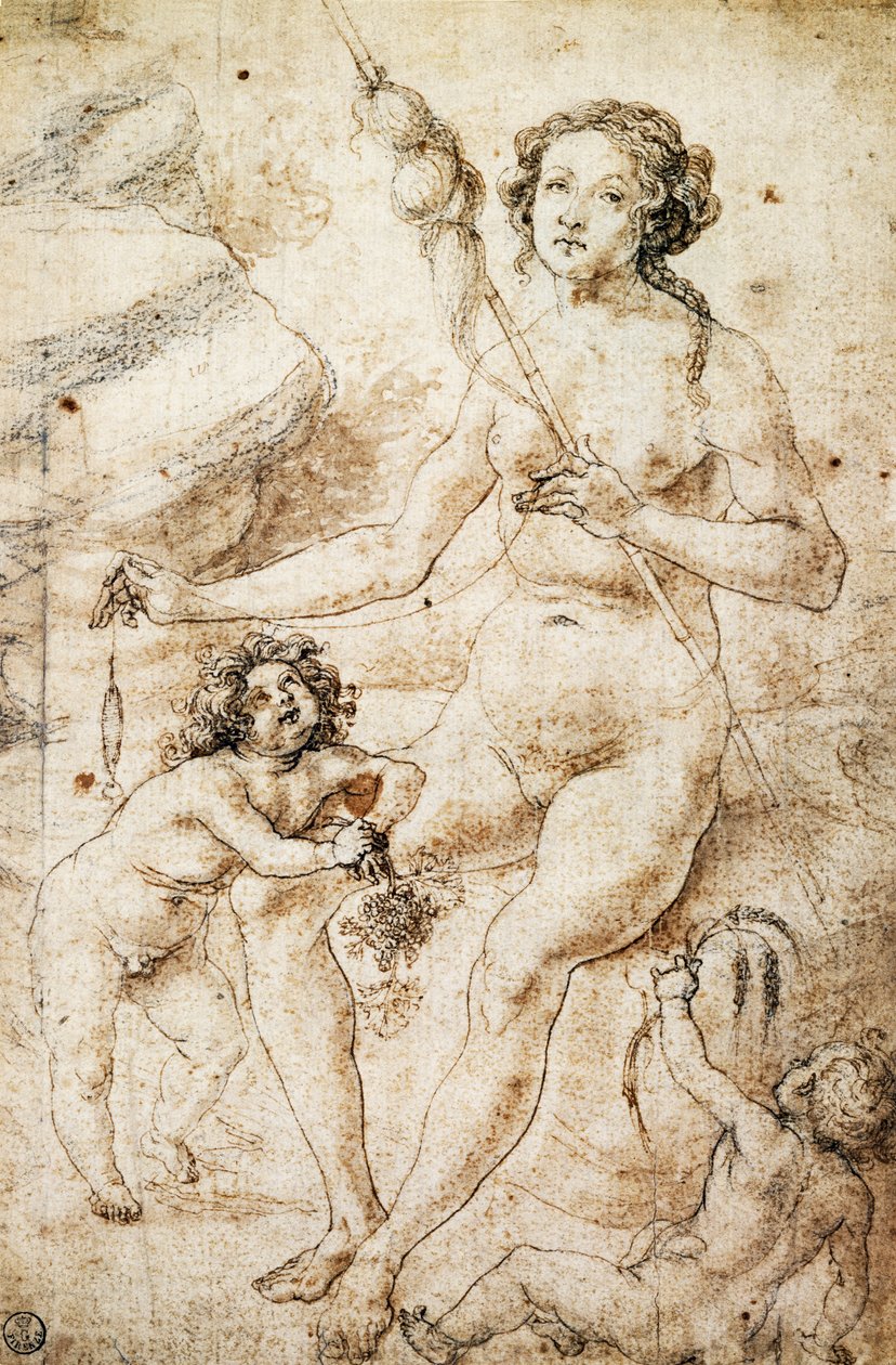 Eva af Antonio Pollaiuolo