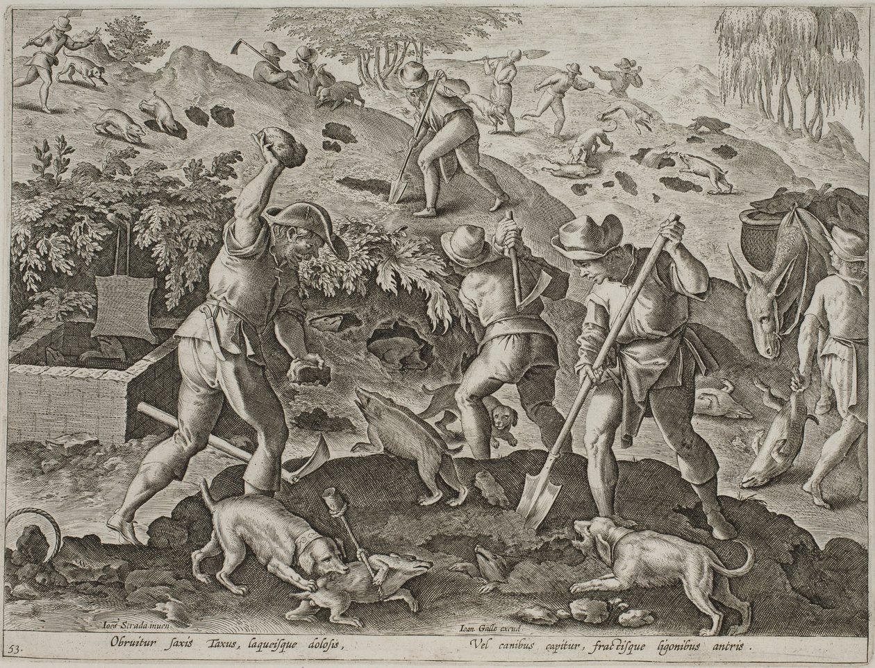 Grævlingejagt af Antonius Wierix