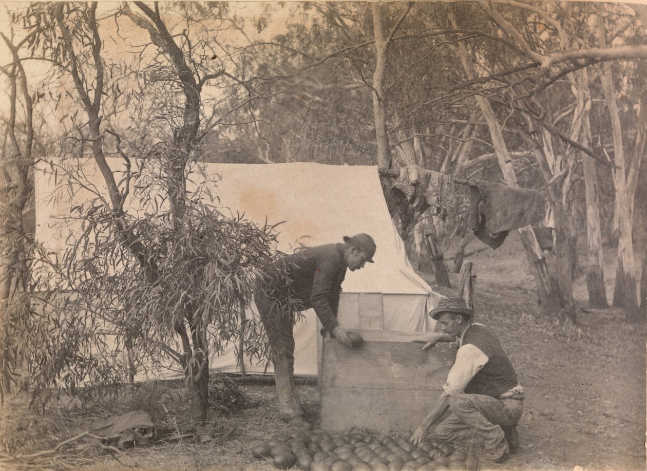 En Emu Eggers Camp af Archibald James Campbell