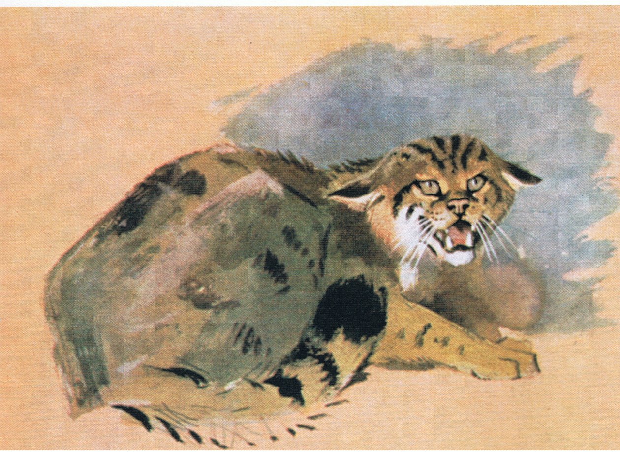 Wildcat, pub. af Book Club Associates, 1972 af Archibald Thorburn