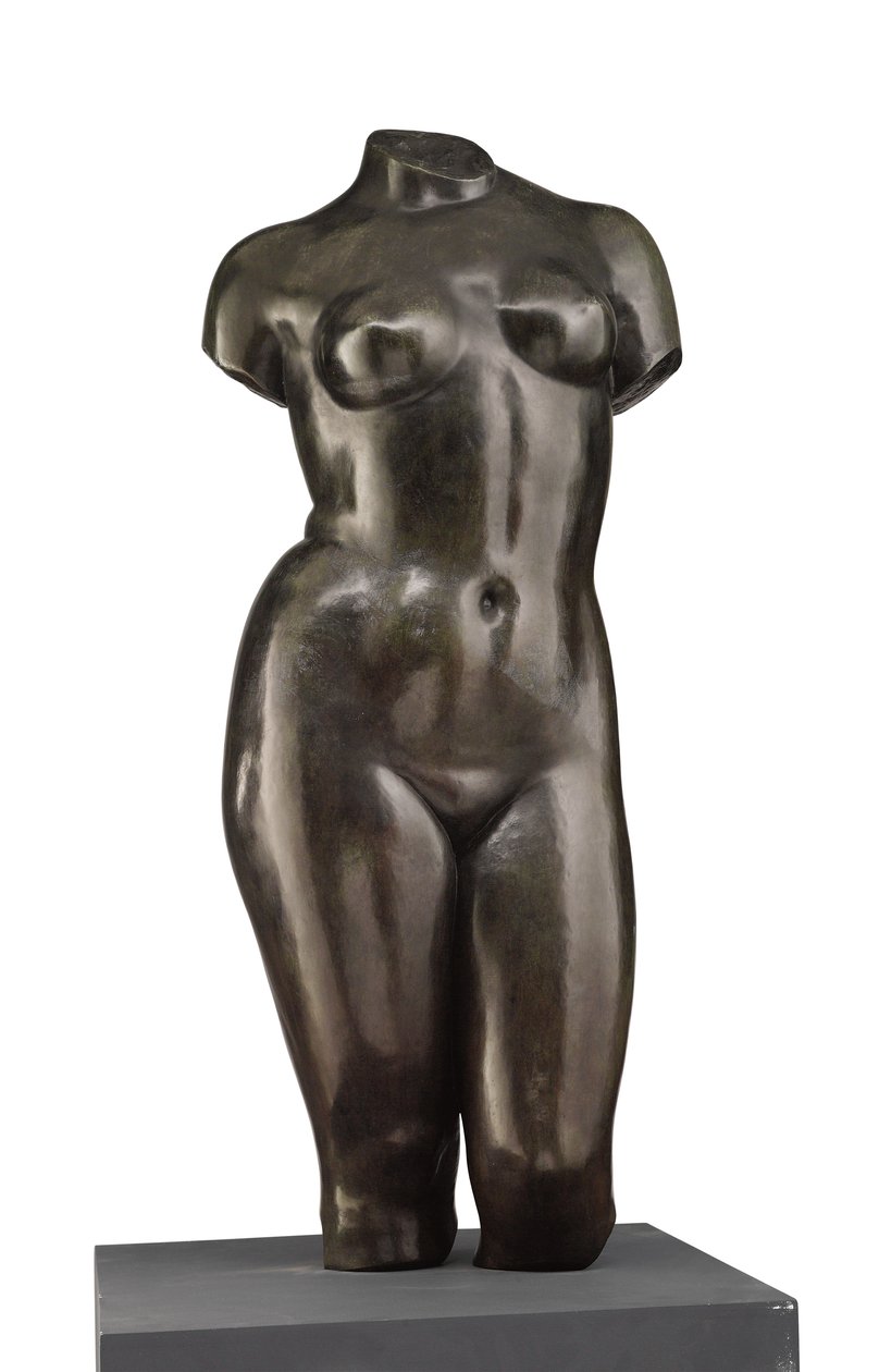 Torso af Venus (set forfra) af Aristide Maillol