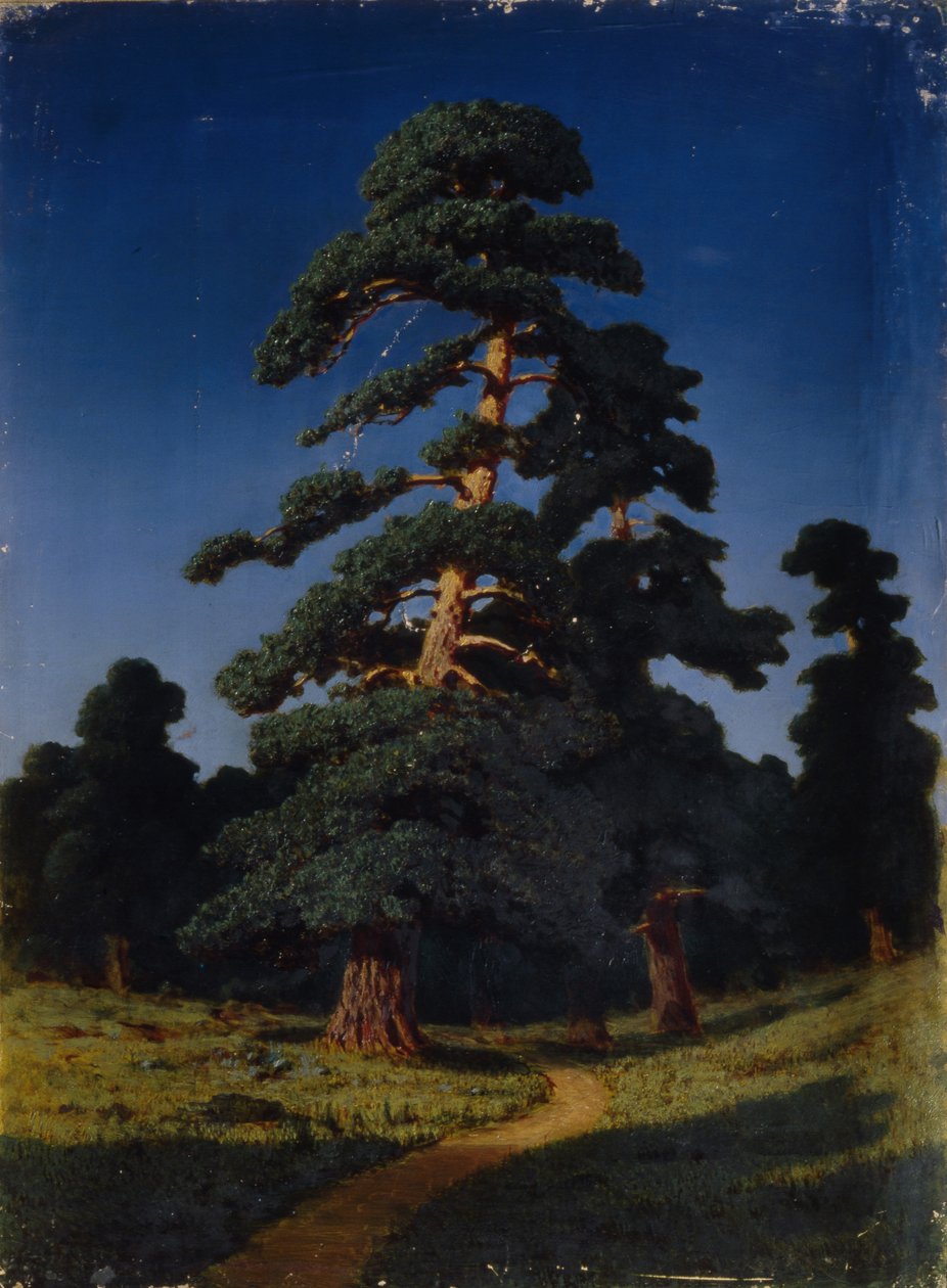 Fyrretræ af Arkhip Ivanovich Kuindzhi