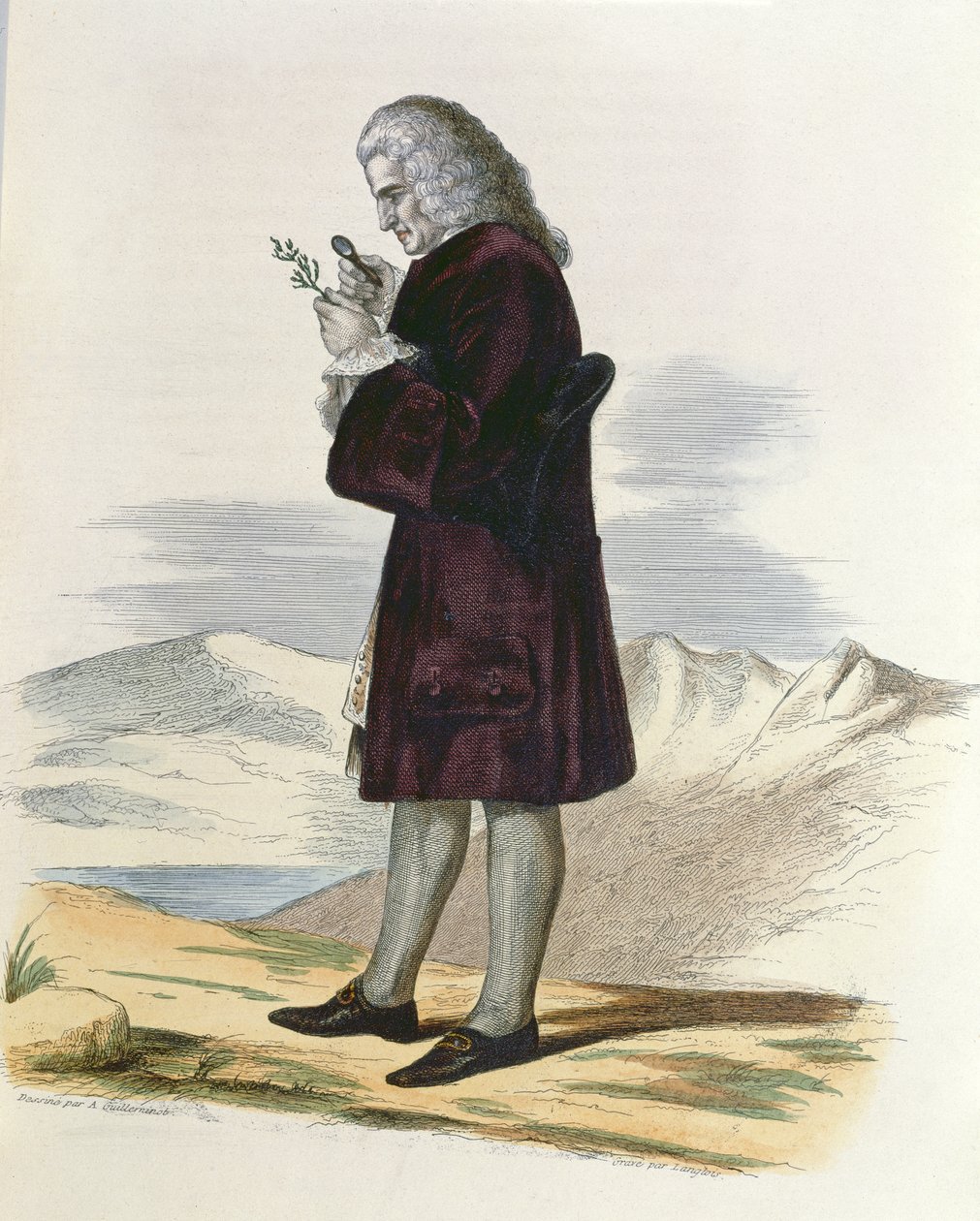 Bernard de Jussieu (1699-1777) ca. 1820 af Armand Guilleminot