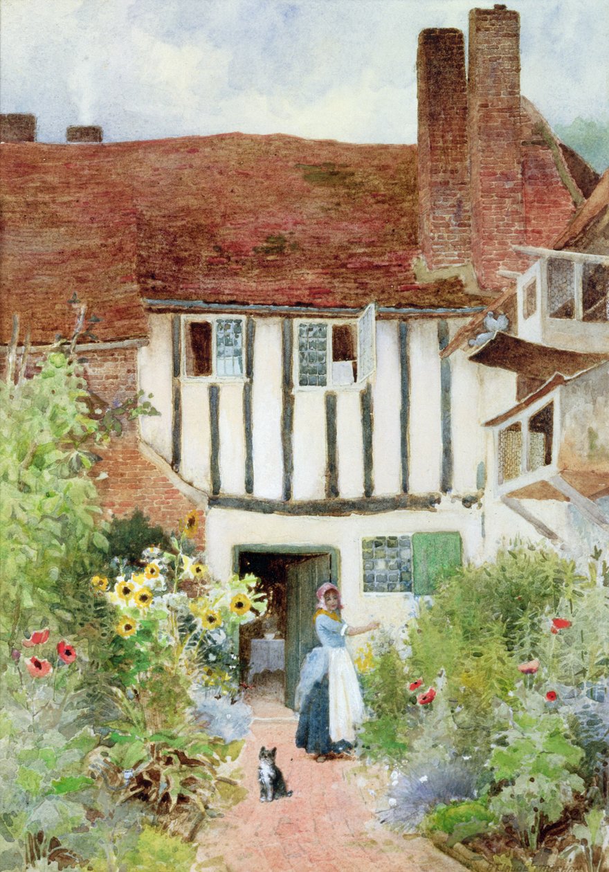 Sommerfugle af Arthur Claude Strachan