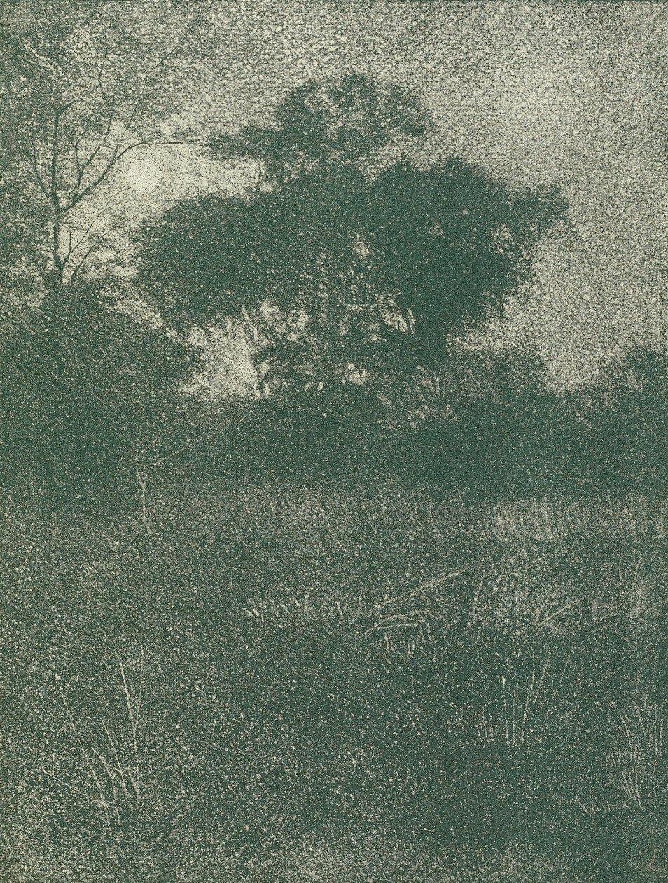 Måneskin af Arthur E. Becher