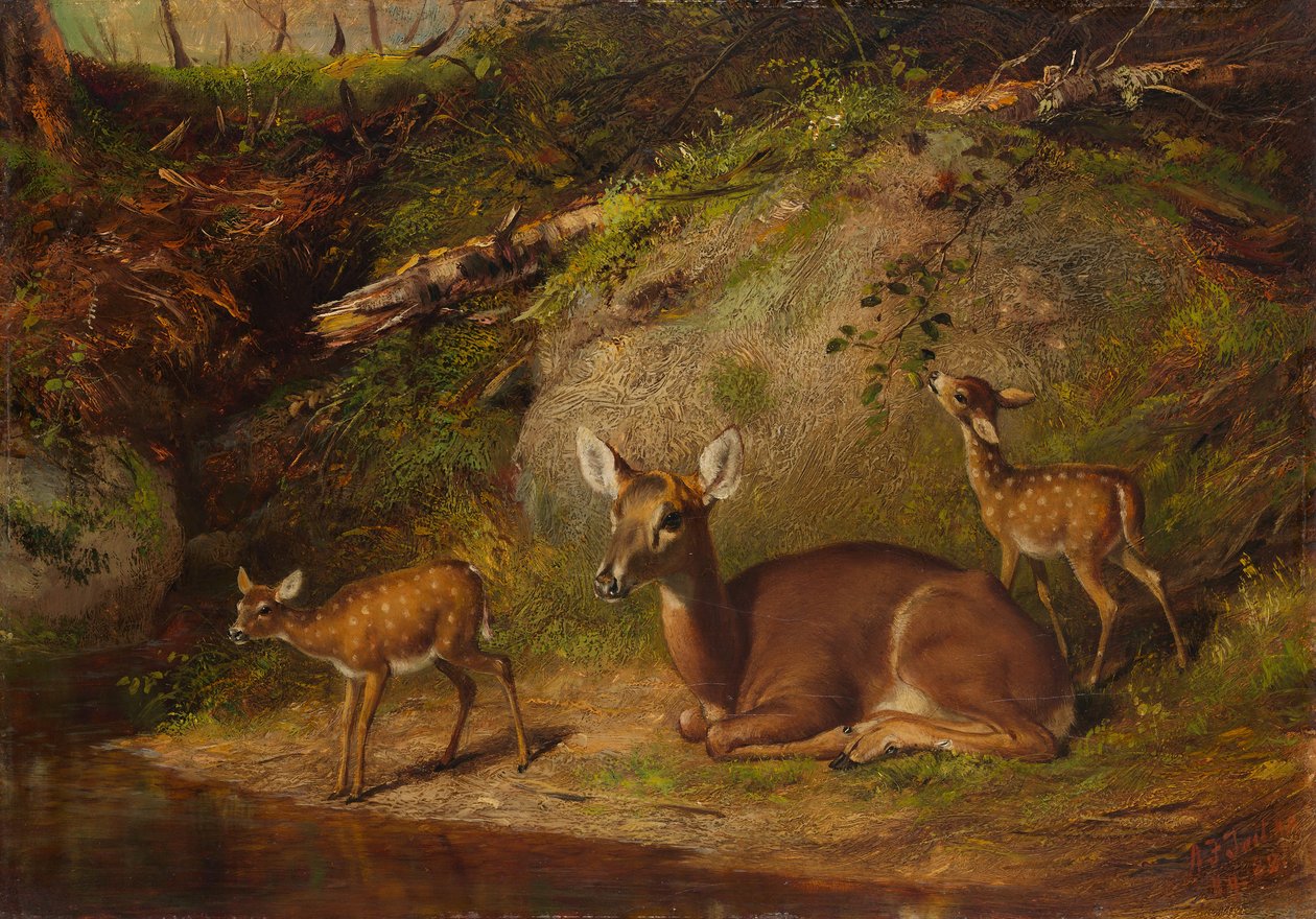 Doe og to fawns, 1882. af Arthur Fitzwilliam Tait