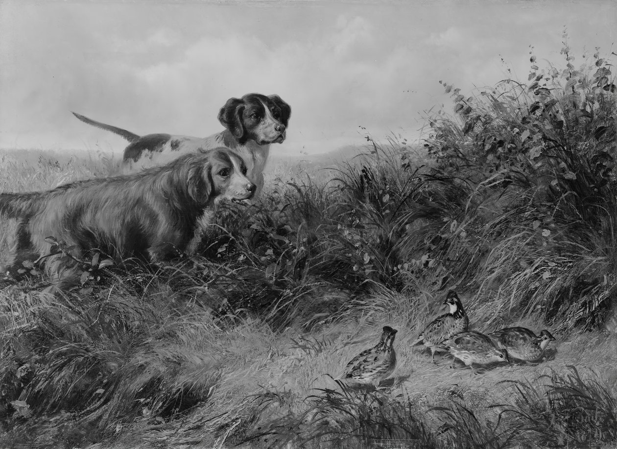 On Point, 1874. af Arthur Fitzwilliam Tait