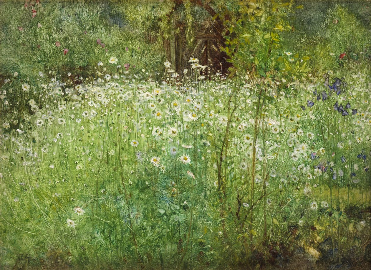 Oxeye Daisies and Irises, 1920 af Arthur Hacker