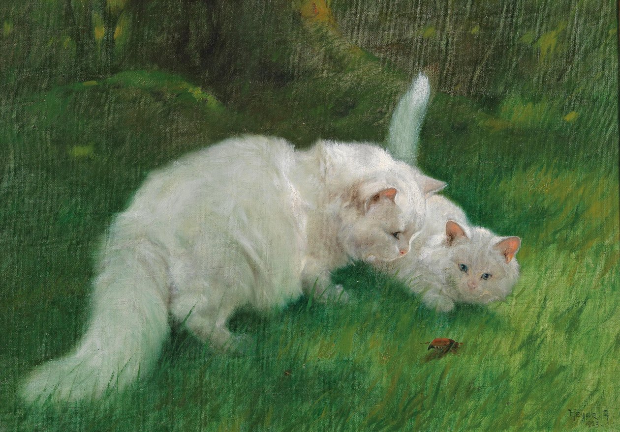 Arthur Heyer Interessant opdagelse i 1923 af Arthur Heyer