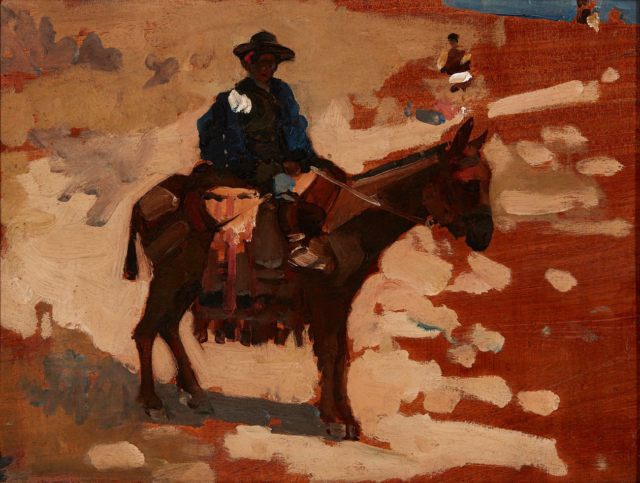 En dreng i Spanien (olie på panel) af Arthur Melville