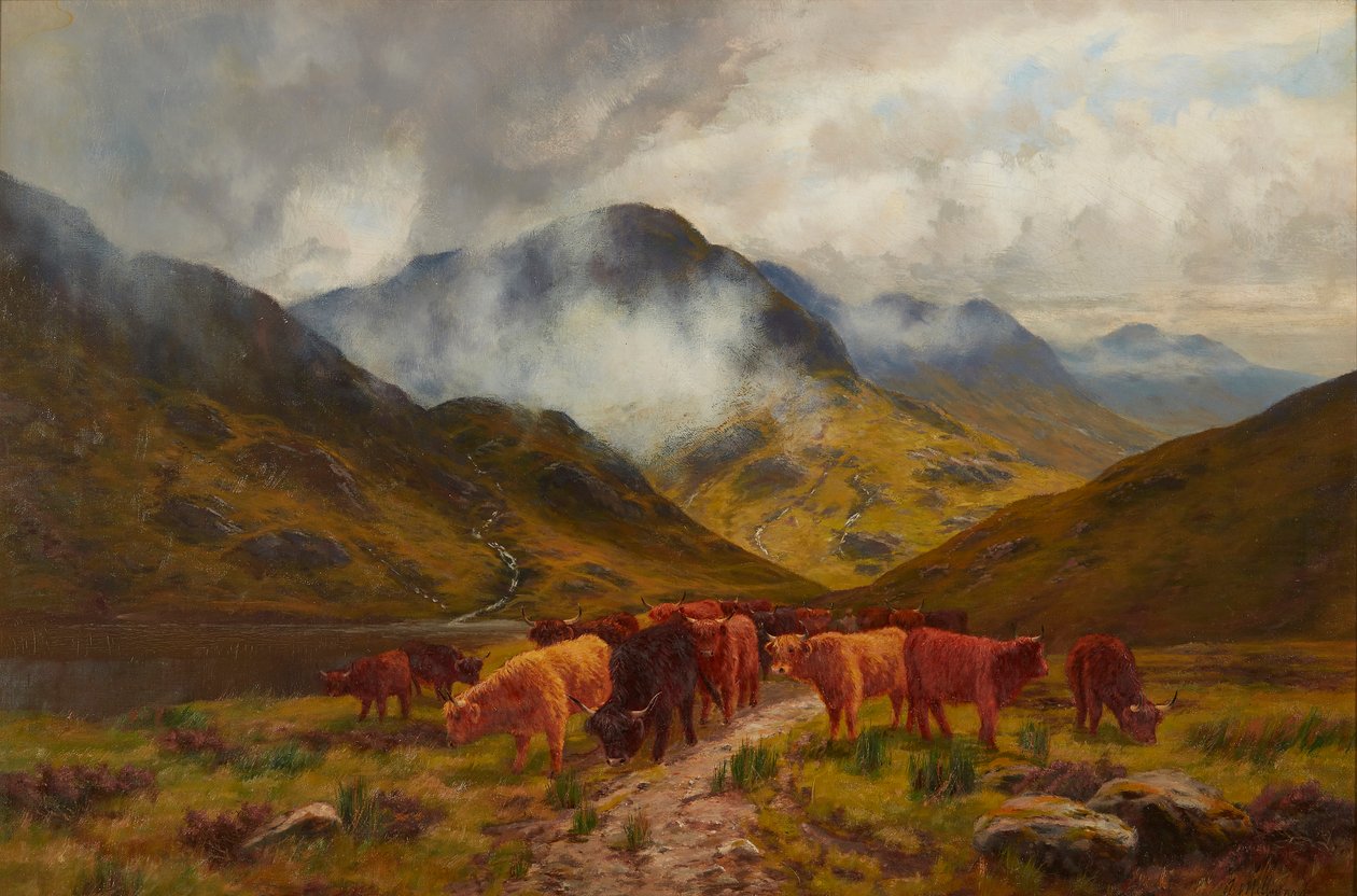 Highland Cattle (olie på lærred) af Arthur Millward