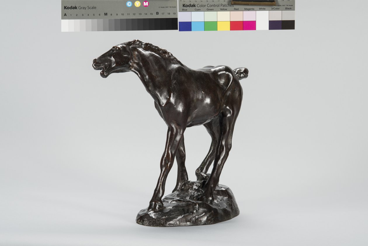 Føl (bronze) af Arthur Putnam