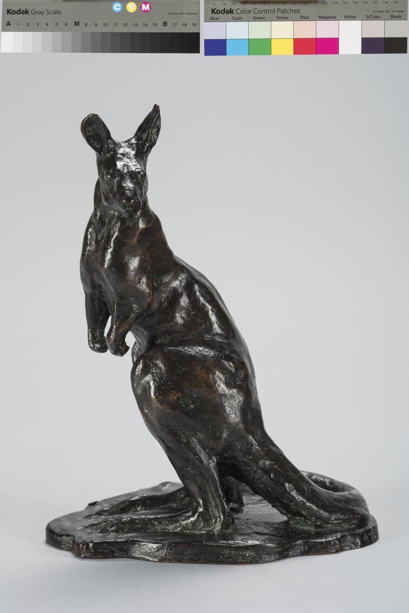 Kænguru (bronze) af Arthur Putnam