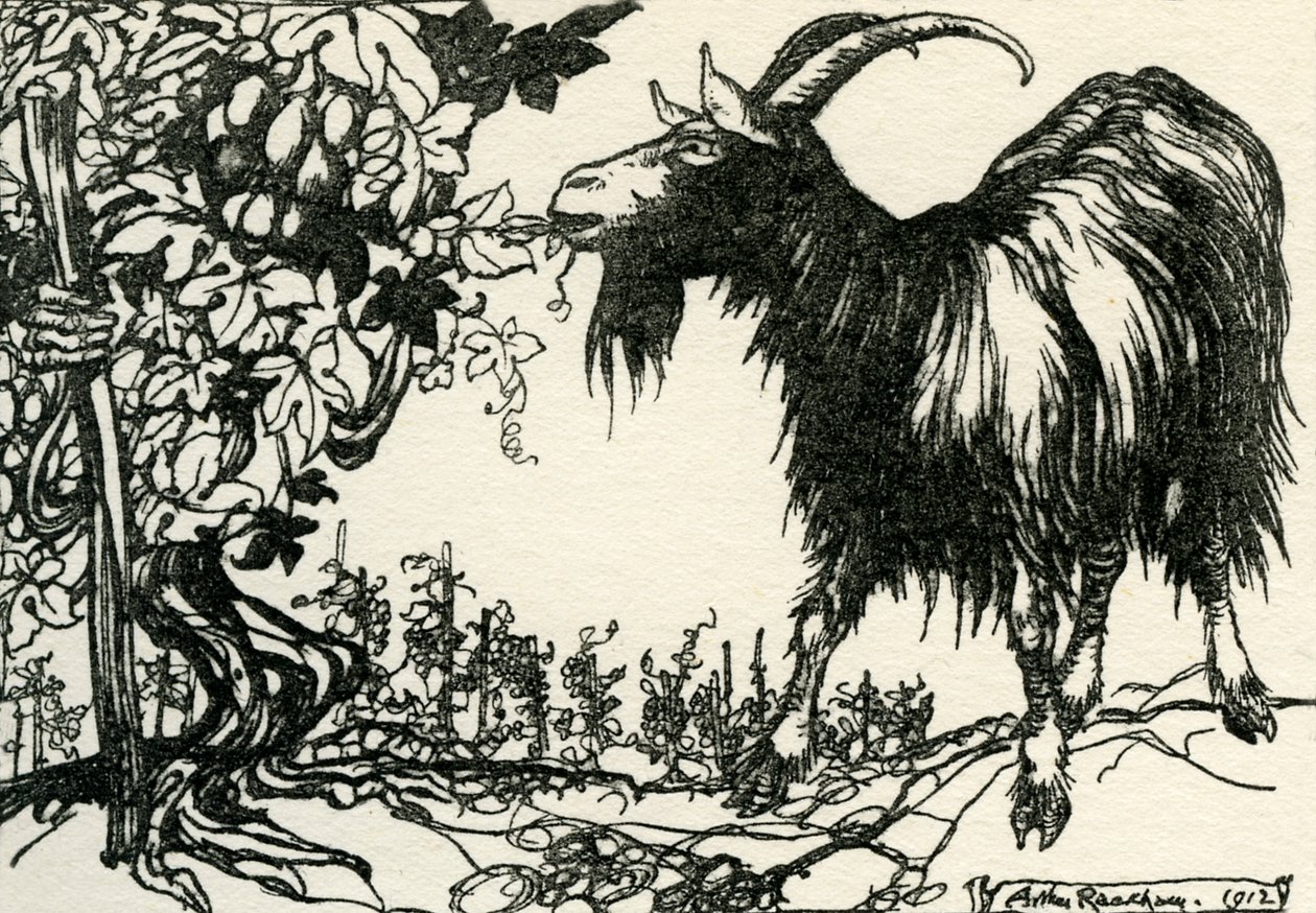 Æsops fabler af Arthur Rackham