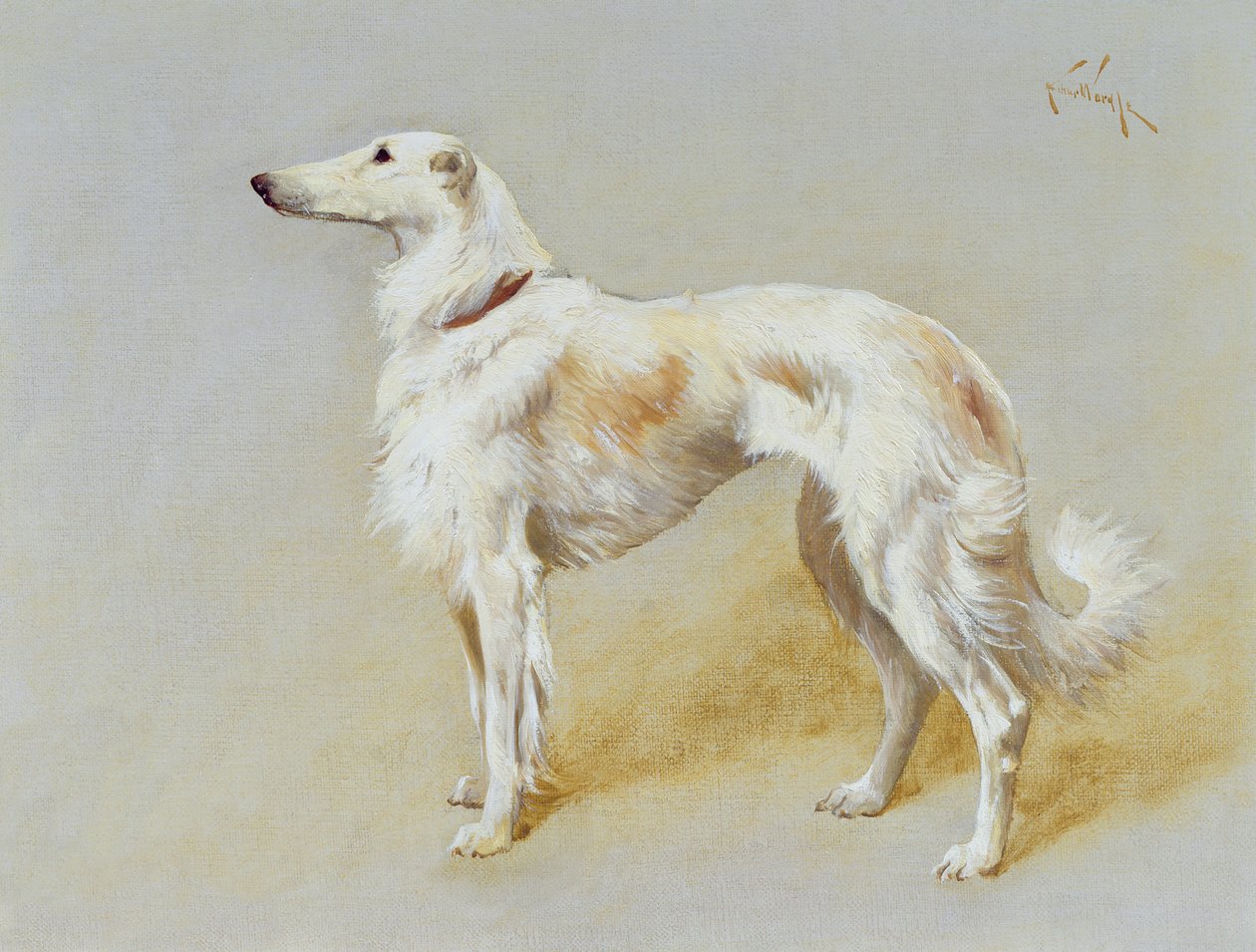 En Borzoi-hund (olie på lærred) af Arthur Wardle
