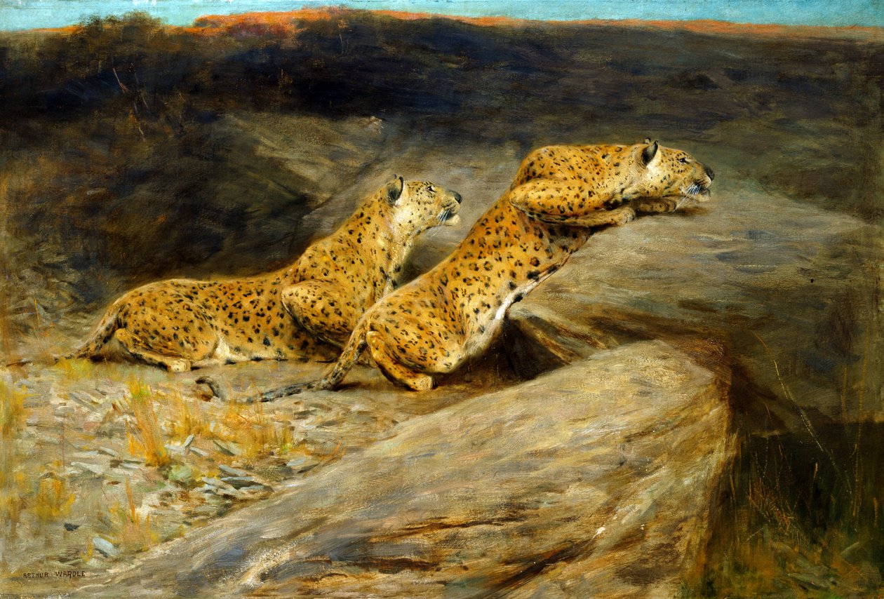 Deer Stalkers (olie på lærred) af Arthur Wardle