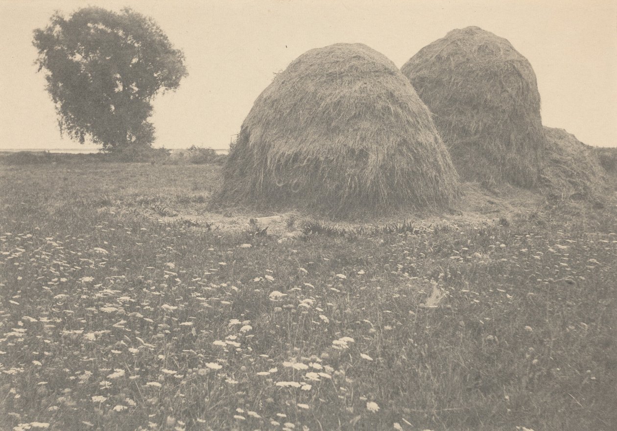 Høstakkene, Ipswich, ca. 1894 (foto) af Arthur Wesley Dow