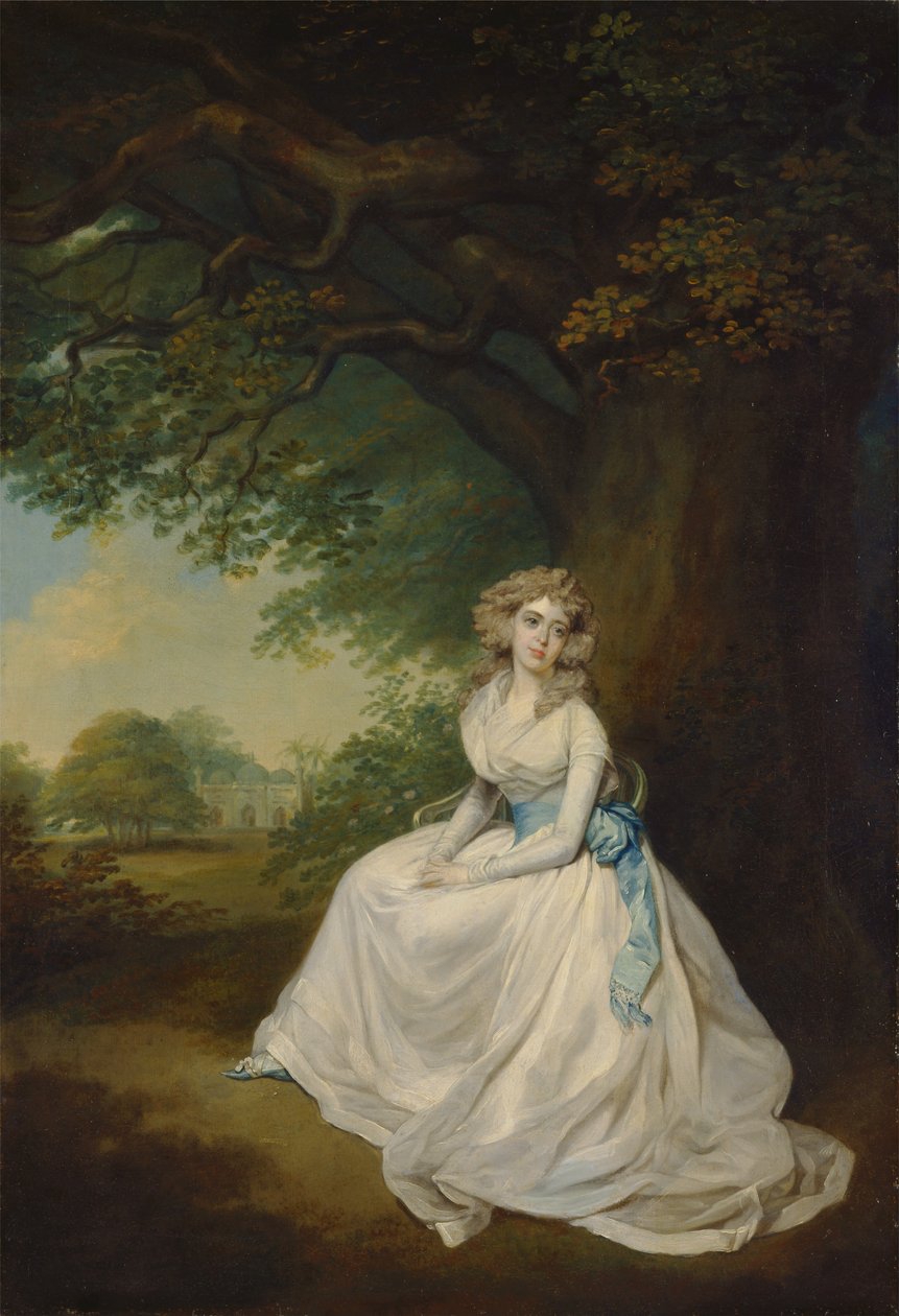 Lady Chambers af Arthur William Devis