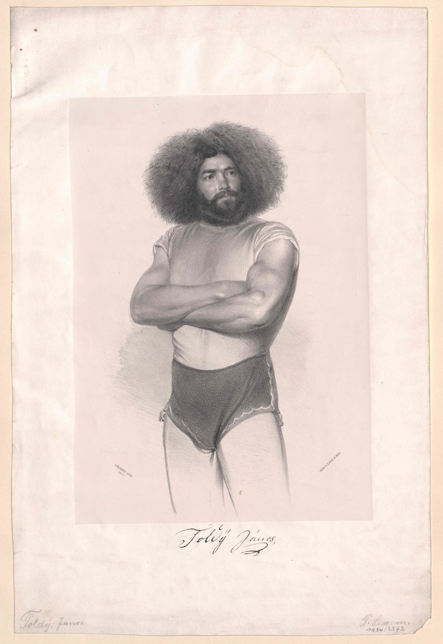 Janos Toldy af Artist Unknown