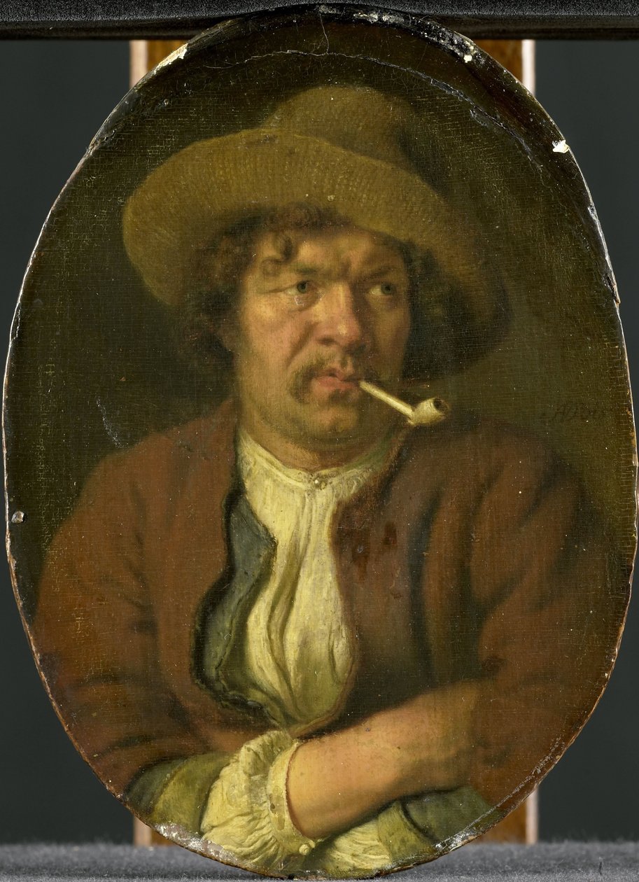 Rygeren af Ary de Vois