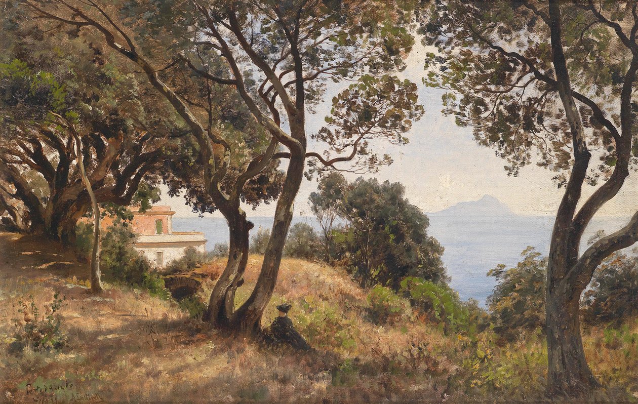 Sydudsigt af Ascan Lutteroth