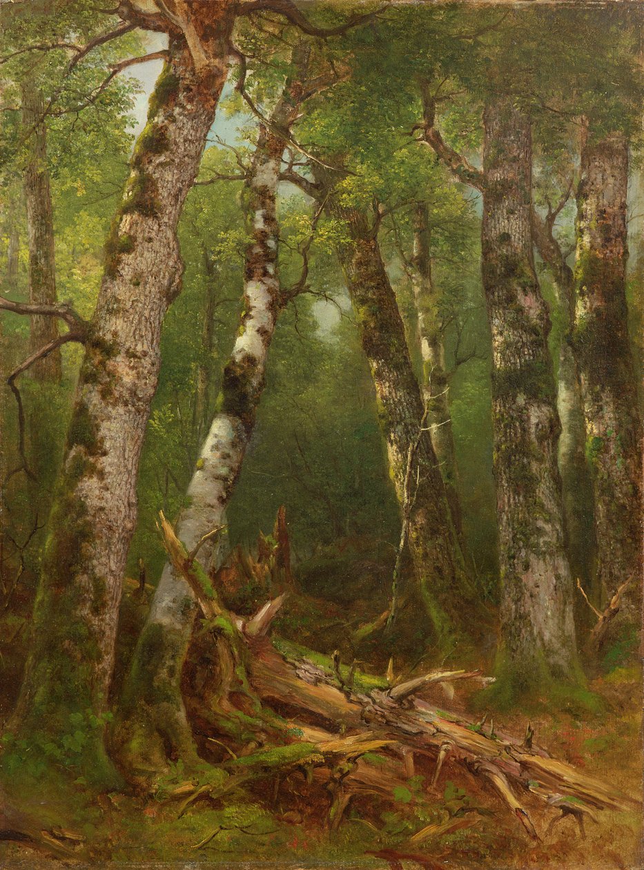 Gruppe af træer, 1855-77 af Asher Brown Durand