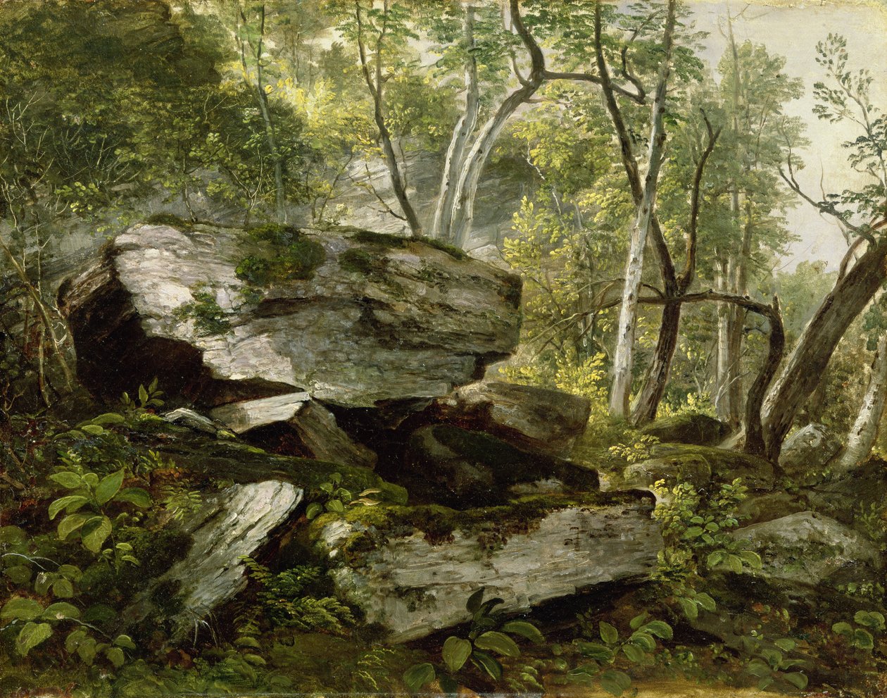 Studie fra naturen: Rocks and Trees, c.1856 af Asher Brown Durand